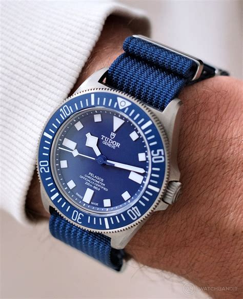 tudor pelagos nato